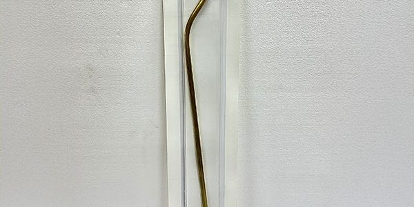 Chapin 24 in Brass Wand