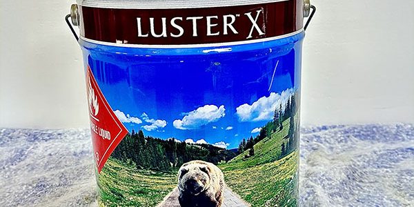 Luster X